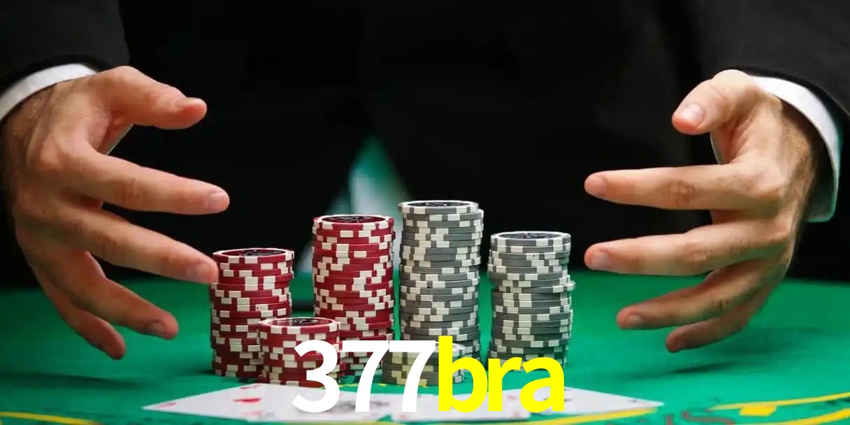 377bra telegram